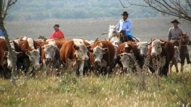 Día del Trabajador Rural: Por qué se celebra cada 8 de octubre
