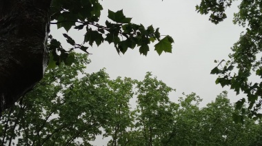 Se cae el cielo: fuertes precipitaciones y alerta amarilla en Necochea