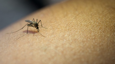 Los casos de dengue no explotan y los infectólogos recomiendan seguir cuidándose hasta marzo