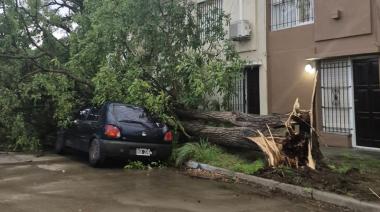Tormenta en Necochea y Quequén: destrozos, cortes de energía y calles bloqueadas