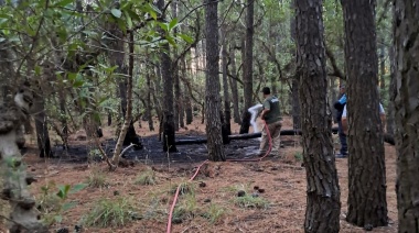 Personal municipal controló un principio de incendio en el Parque Miguel Lillo