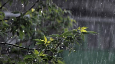 Continúan las alertas por tormenta para el distrito de Necochea