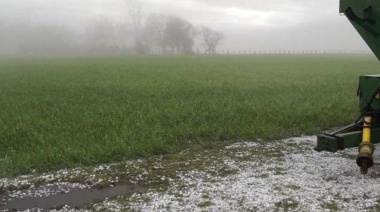 Las lluvias de febrero duplicaron el promedio de los últimos 30 años en la zona núcleo