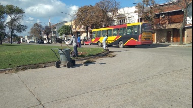 Limpieza de cordones y separadores centrales en avenidas