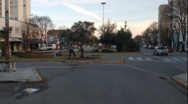 Puesta en valor de los espacios: extraen fornios del centro para replantarlos en otros sectores
