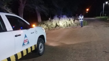 El temporal de anoche produjo daños en la vía pública pero no hubo víctimas ni evacuados
