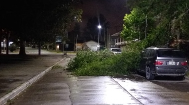 El temporal de anoche produjo daños en la vía pública pero no hubo víctimas ni evacuados