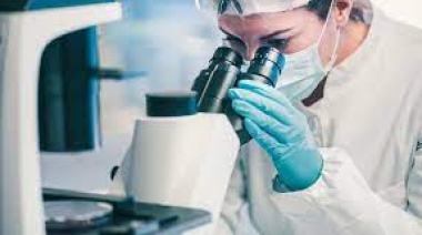 Científico habría logrado identificar al caso cero de coronavirus