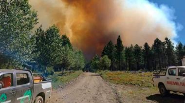 Tierra del Fuego "en alerta y con máximos cuidados" por los focos de incendios forestales