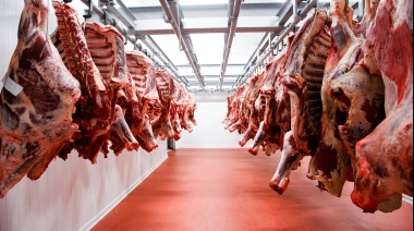 El gobierno Nacional volvio a poner un cepo a la exportacion de carne