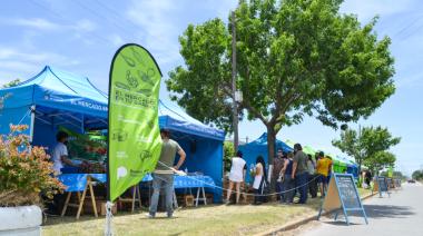 Desarrollo Productivo convoca a productores y comerciantes a participar de “El Mercado”