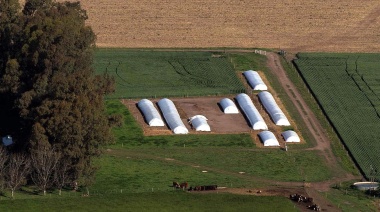 Buscando las divisas de la cosecha, el Central aprobó un instrumento para el sector agroexportador