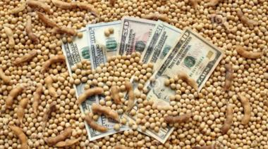 CRA: “El dólar soja, para especuladores, no para productores”