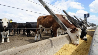 Organizan jornada ganadera para informar sobre el manejo intensivo en cría vacuna