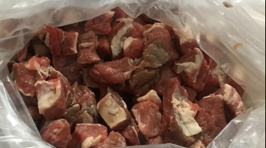 Desmienten que el brote de shigella y salmonella se haya extendido a más municipios