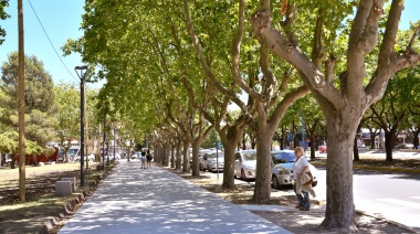 El municipio pide respetar la época de poda y hacerla con personal habilitado