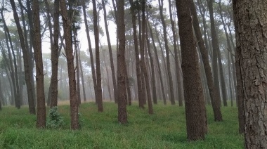 El viento embate fuerte sobre la zona costera del distrito