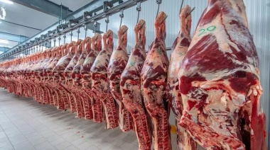 El Gobierno cerró por 15 días las exportaciones de carne vacuna