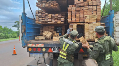 Detuvieron a un necochense que trasladaba 6 mil millones de pesos en marihuana
