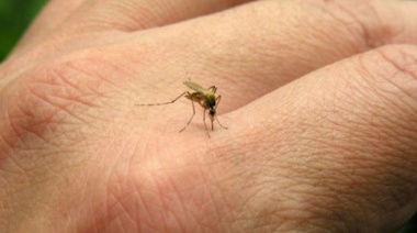 El dengue y la Encefalitis Equina siguen golpeando en territorio bonaerense