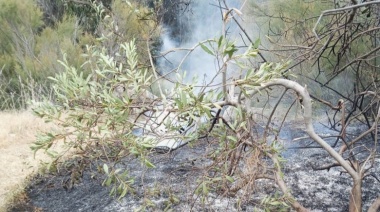 Personal de Guardaparques extinguió un peligroso foco de incendio en el Jardín de Rocas  