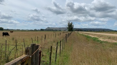 Por el viento y las lluvias, Provincia declaró la emergencia agropecuaria en Balcarce