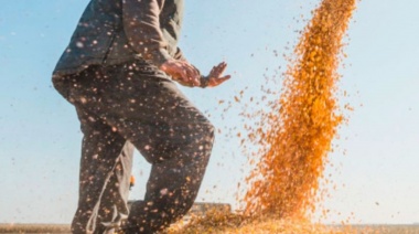 El Gobierno eliminó la inscripción al Registro Único de la Cadena Agroalimentaria