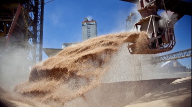 Las exportaciones agroindustriales crecieron más del 26% en julio, pero cayeron las de carne vacuna