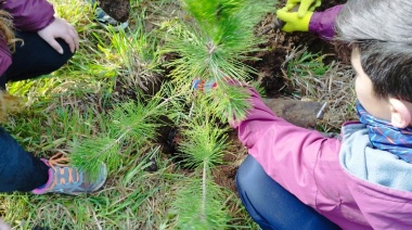 El Vivero Municipal recibió al Colegio Danés para una jornada de Forestación