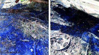 El municipio repudia un violento ataque contra el predio de Tránsito