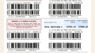 Continúa el escándalo de las facturas: "Estamos presos del monopolio de la Usina"
