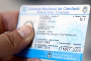 Uno por uno, los cambios de Sturzenegger para la renovación de la licencia de conducir
