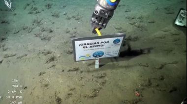 "Gracias por el apoyo": el cartel de los científicos del Conicet en el fondo del mar que emocionó a todos