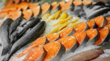 Precauciones a la hora de comprar y consumir pescado