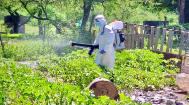 Los tres casos nuevos que hacen pensar en fuertes pérdidas para la producción avícola