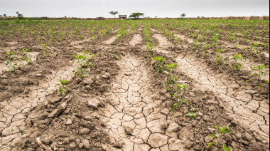 La Provincia prorrogó la Emergencia Agropecuaria en Necochea y sumó a otros partidos