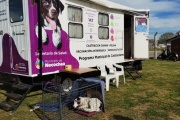 Los turnos para castrar mascotas en el Quirófano Móvil se deben solicitar telefónicamente