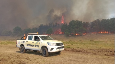 Trabajo en conjunto y pericia para combatir tres peligrosos incendios