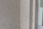 Alerta por Mosquitos: Necochea, también afectada por la invasión de insectos