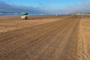 La barredora de arena trabaja en las playas de Necochea a doble turno