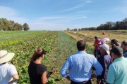 El municipio visitó a productores locales de frutas y verduras