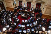 El Senado aprobó por un voto el proyecto de desguace del Estado de Milei