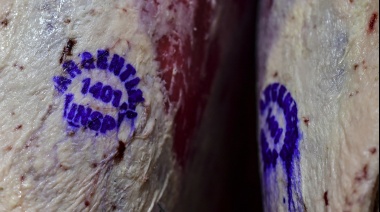 Comenzó a regir la suspensión por 30 días de la exportación de carne bovina