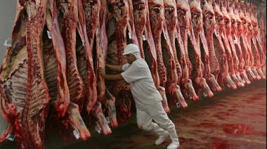 El consumo de carne vacuna roza el nivel más bajo en 26 años, mientras las exportaciones aumentan