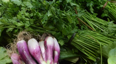 Cómo y dónde se consiguen los bolsones de verduras de producción local