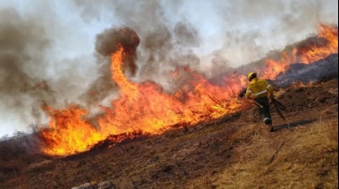 Los incendios en Jujuy ya arrasaron más de 4.500 hectáreas en las yungas