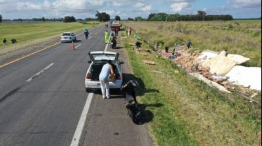 Un camión que transportaba pollos volcó en la ruta 2 y la gente se llevó todo