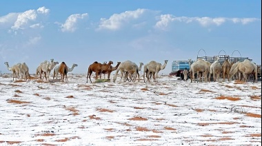 El desierto de Arabia Saudita se cubrió de nieve por primera vez en su historia