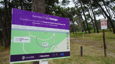 Sendero de Hongos: Un nuevo paseo ambiental para el Parque Miguel Lillo