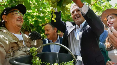 Massa anunció que la industria del vino tendrá su "dólar malbec"